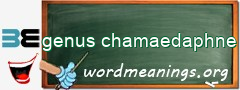 WordMeaning blackboard for genus chamaedaphne